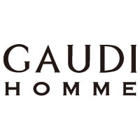 GAUDI