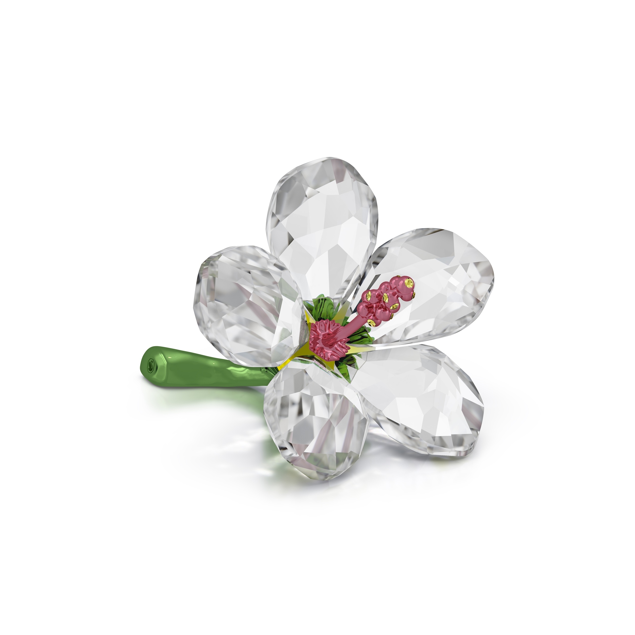 Florere 芙蓉