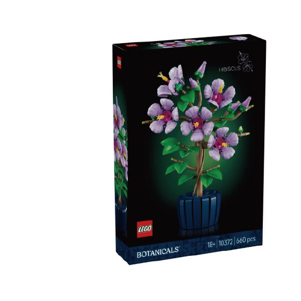 樂高10372木槿