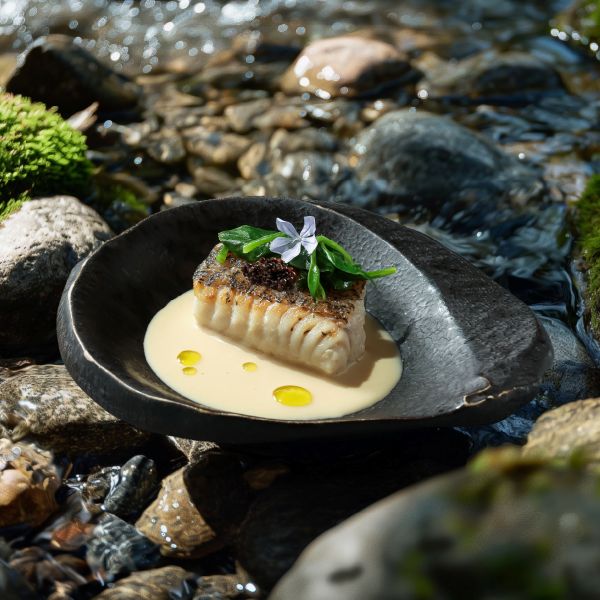 【阪前鐵板燒】兩人同饗 春煦禮遇